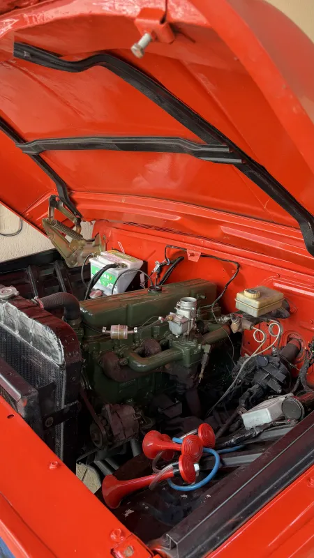 avv-chevrolet-c10-venda-292a945-imagem-016