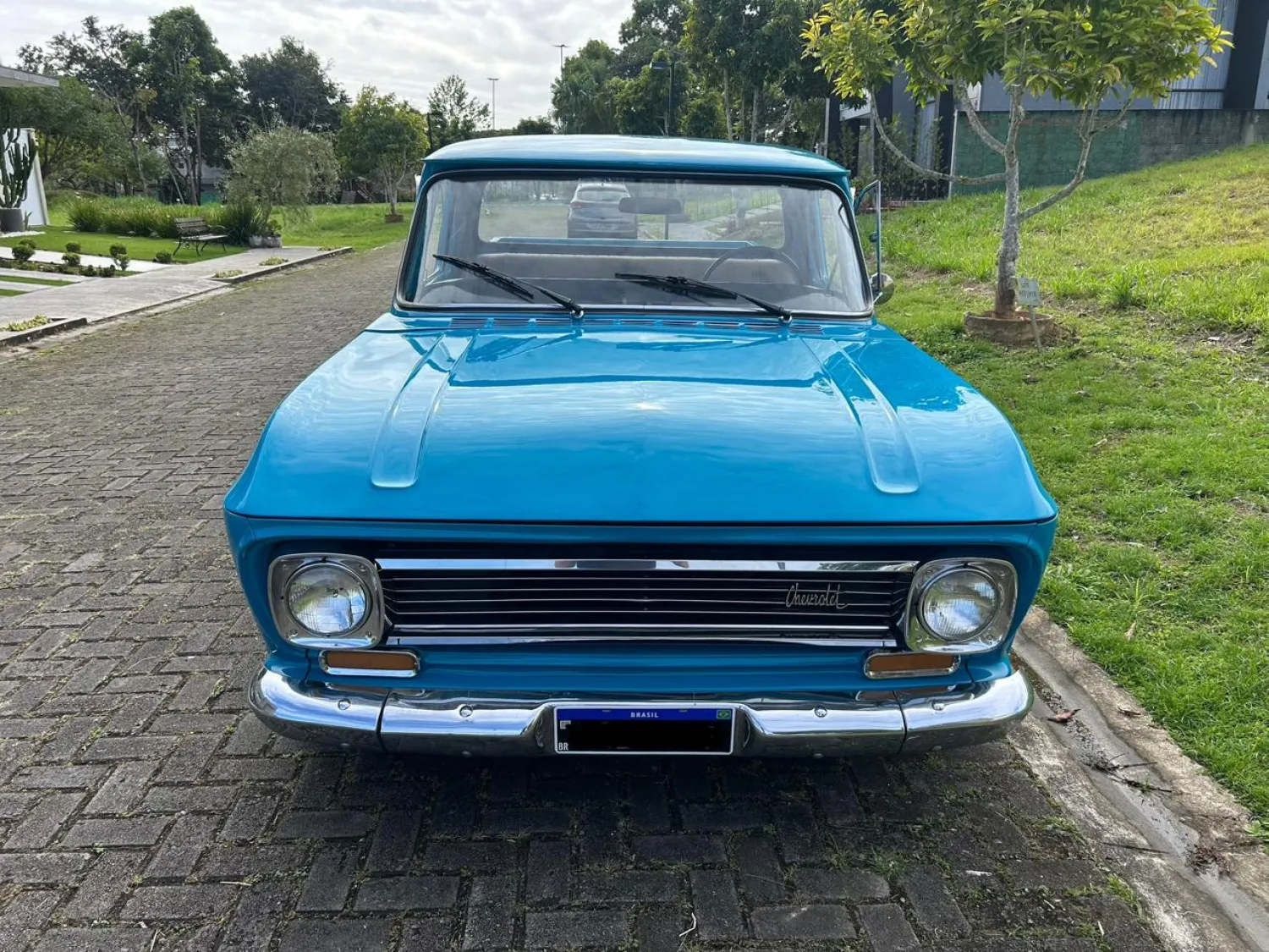 avv-chevrolet-c10-venda-5ccf201-imagem-008