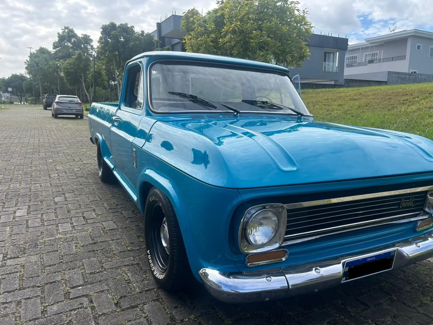 avv-chevrolet-c10-venda-5ccf201-imagem-012