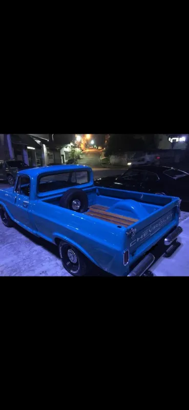 avv-chevrolet-c10-venda-5ccf201-imagem-024