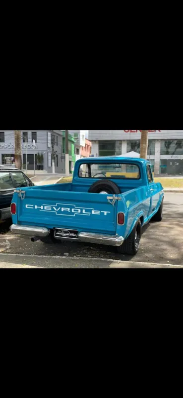 avv-chevrolet-c10-venda-5ccf201-imagem-026