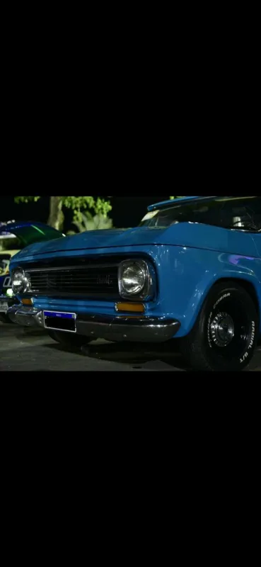 avv-chevrolet-c10-venda-5ccf201-imagem-027