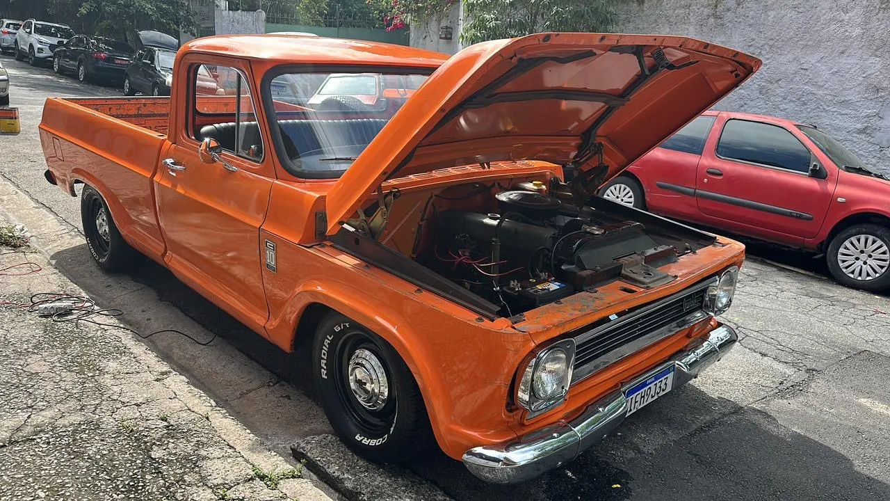 avv-chevrolet-c10-venda-628c147-imagem-011