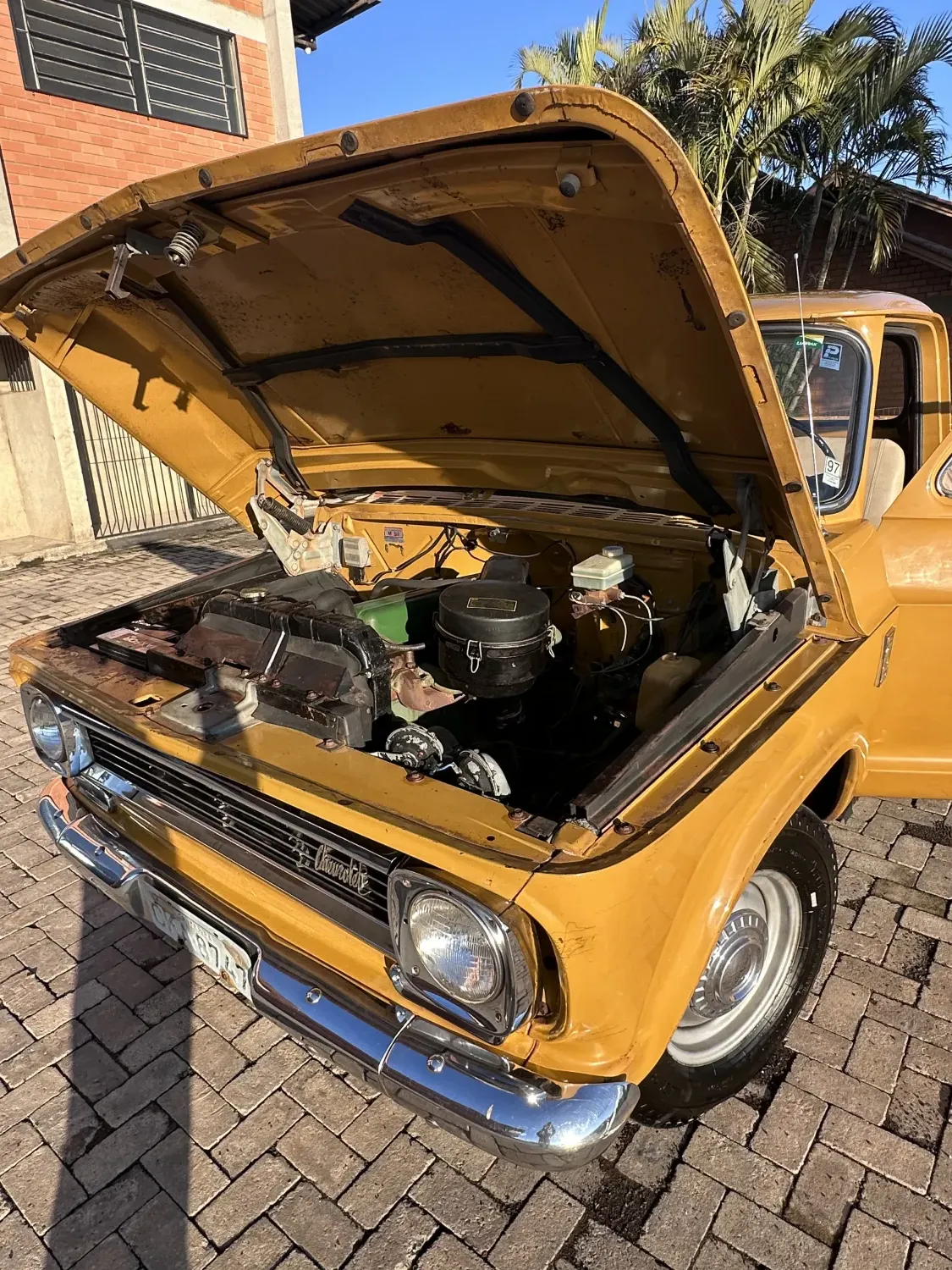 avv-chevrolet-c10-venda-c3f80e3-imagem-002