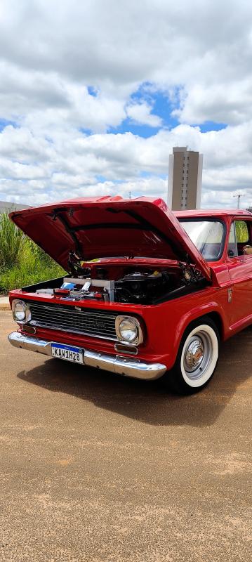 avv-chevrolet-c10venda-c65ry93-imagem-014