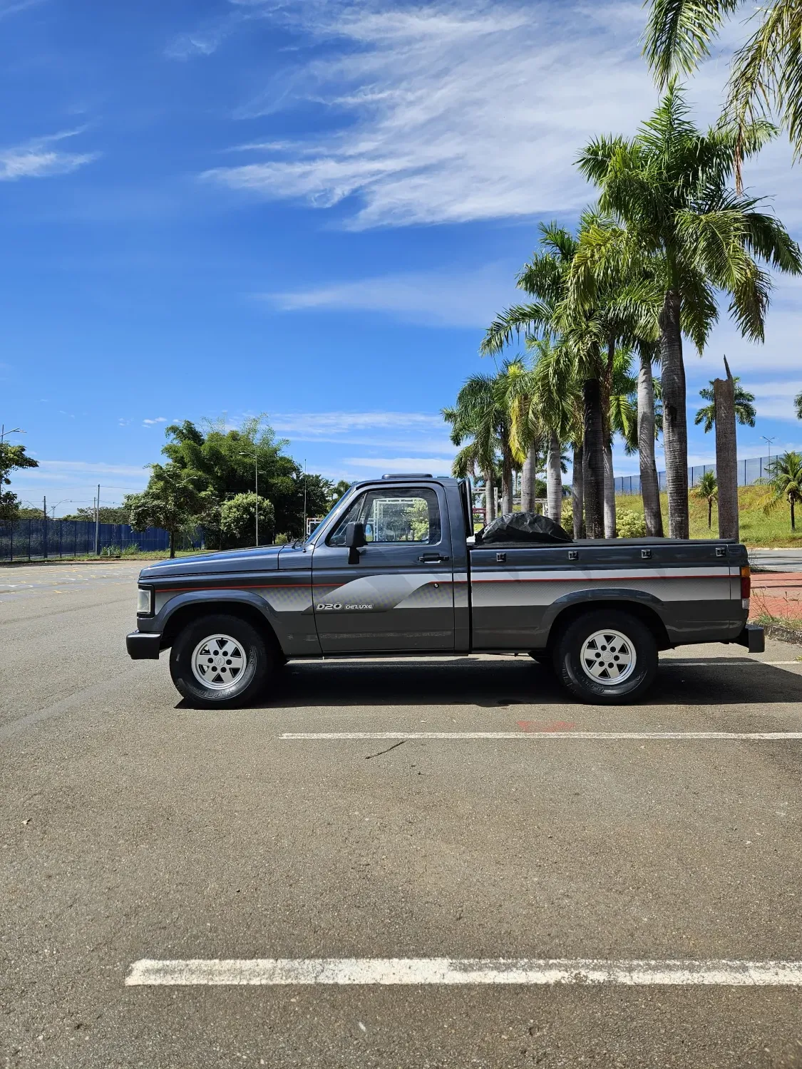 avv-chevrolet-d20-venda-3104c09-imagem-004