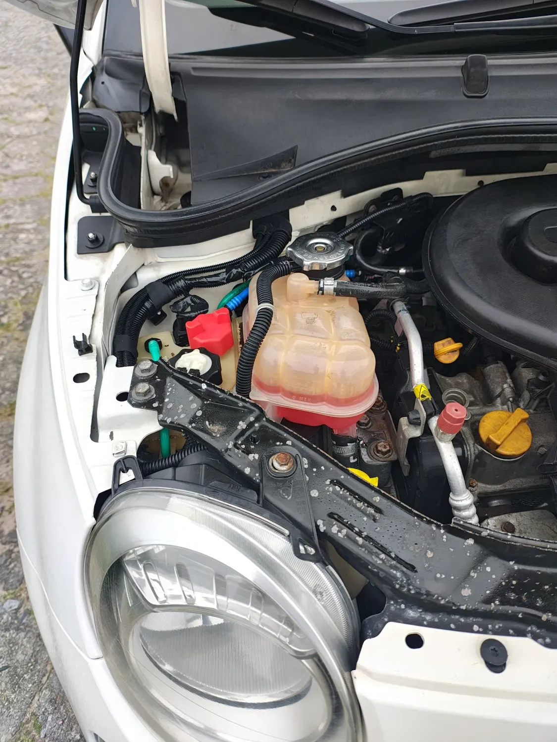 avv-fiat-500-venda-9940762-imagem-019