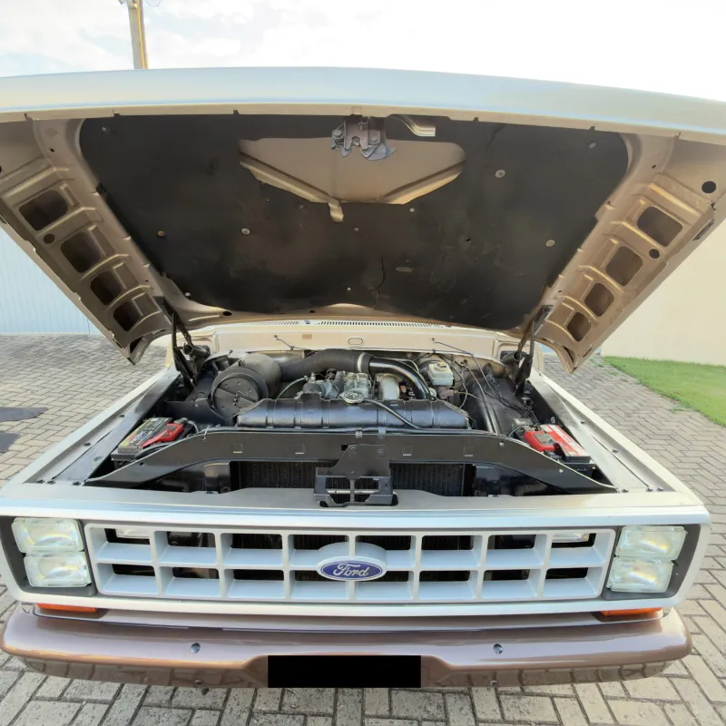avv-ford-f100-cs-6cc-venda-y2sh743-imagem-022
