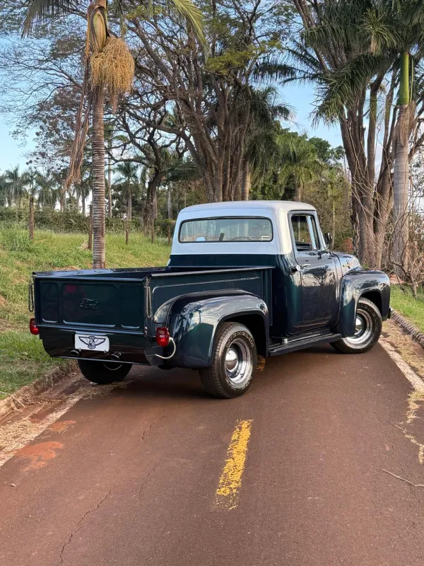avv-ford-f100-venda-795eac8-imagem-006