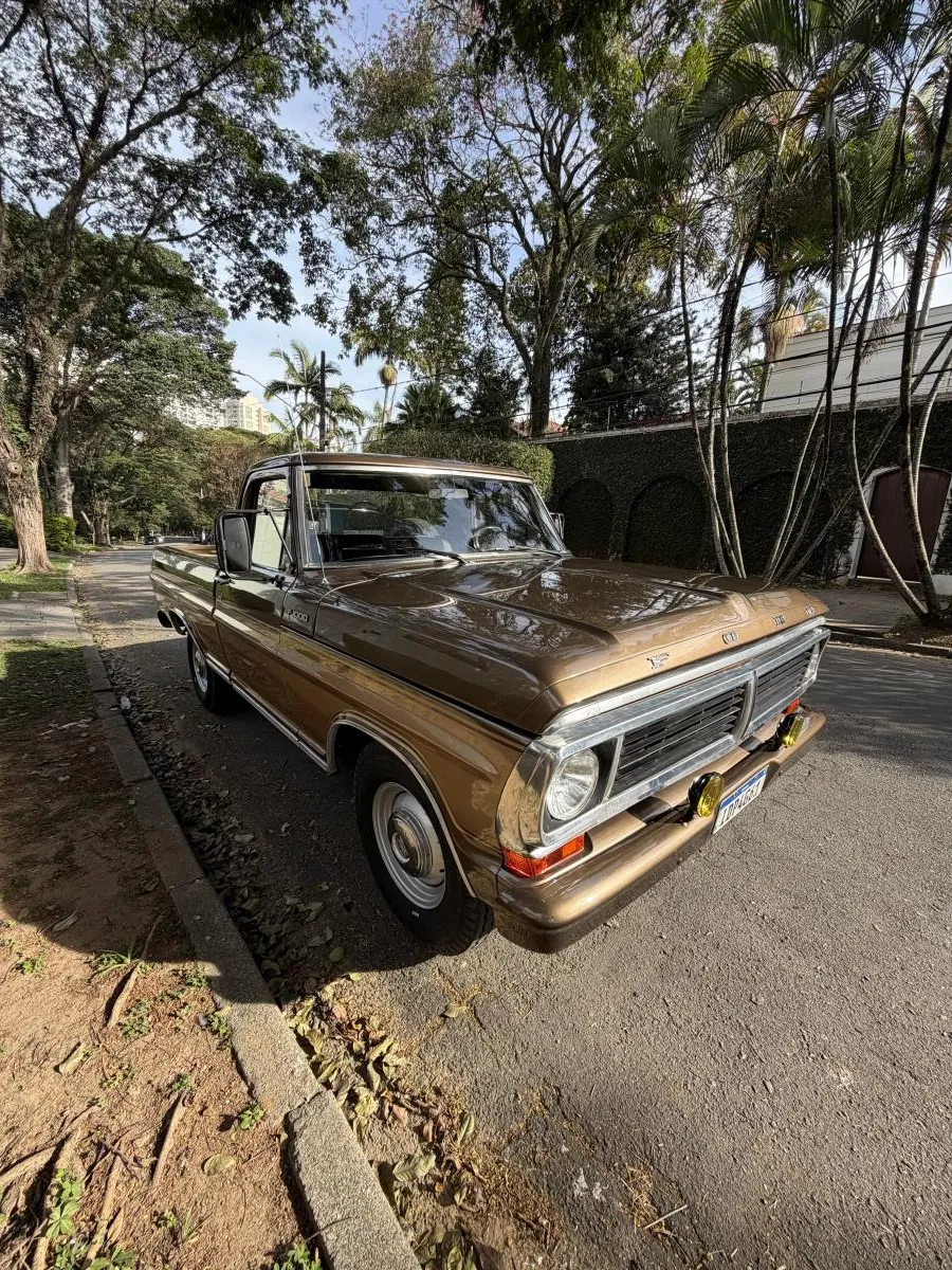 avv-ford-f1000-super-series-venda-6mr1ljn-imagem-005