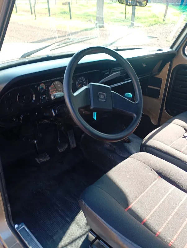 avv-ford-f1000-venda-530f0e8-imagem-010