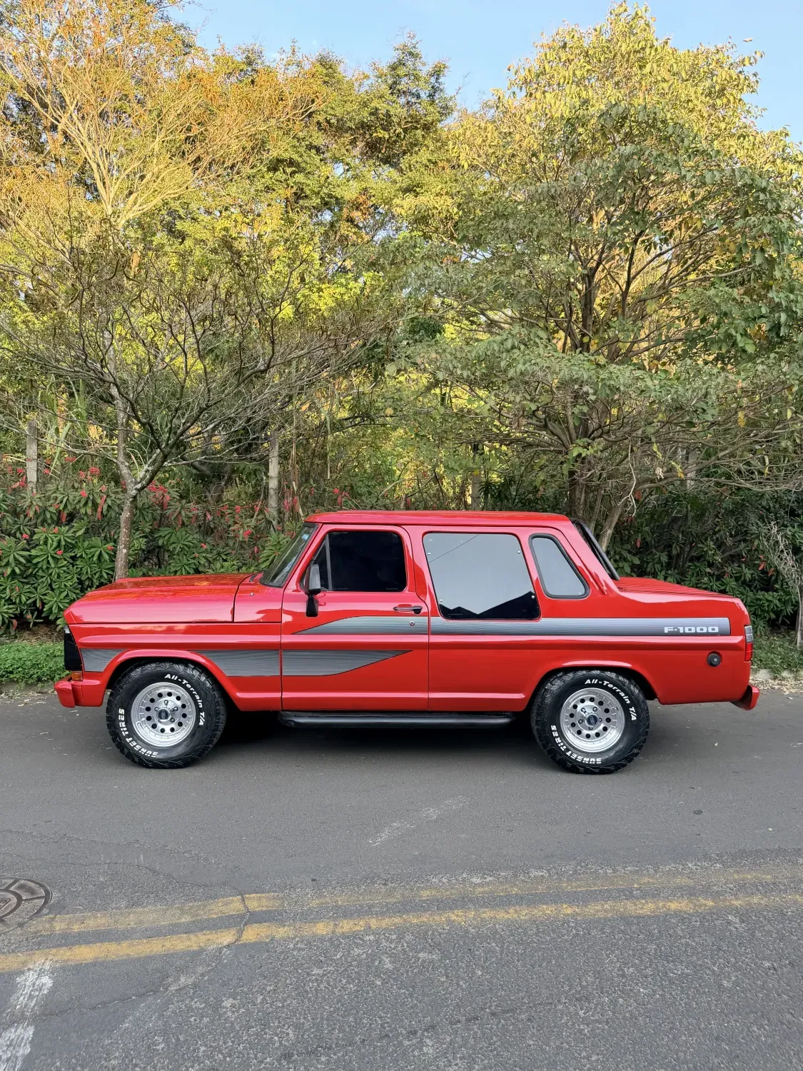 avv-ford-f1000-venda-a300b94-imagem-023