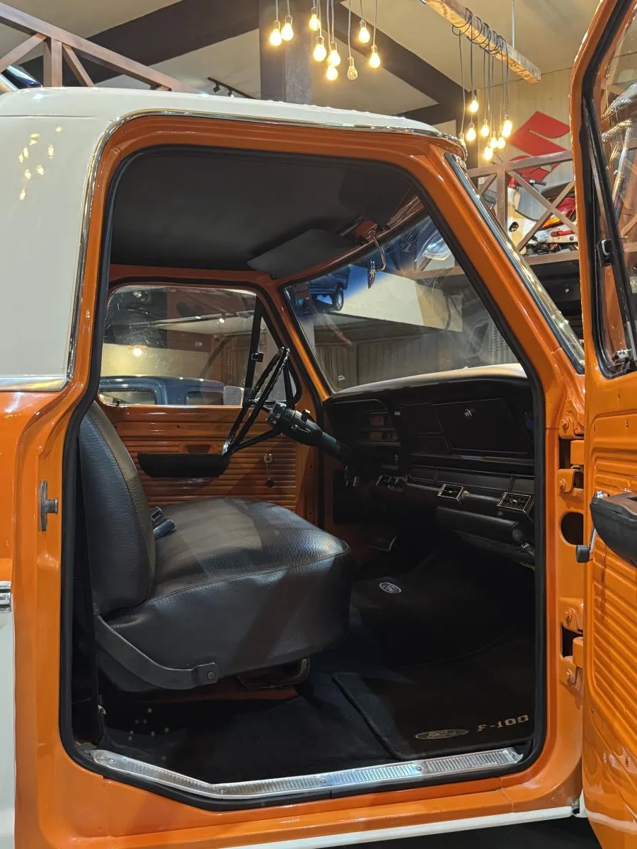 avv-ford-f100venda-tsyn0vl-imagem-018