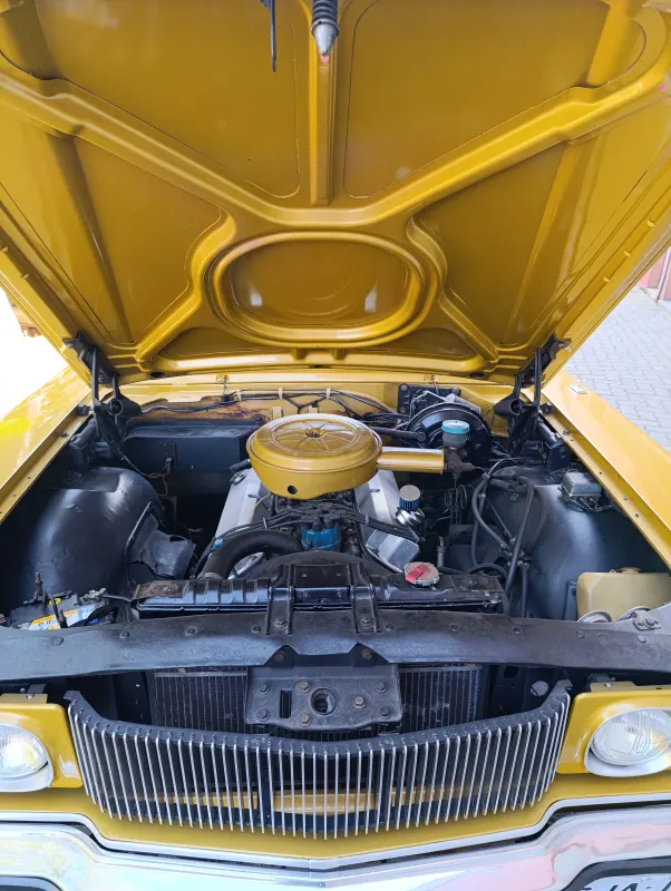avv-ford-galaxie-venda-46e6d51-imagem-015