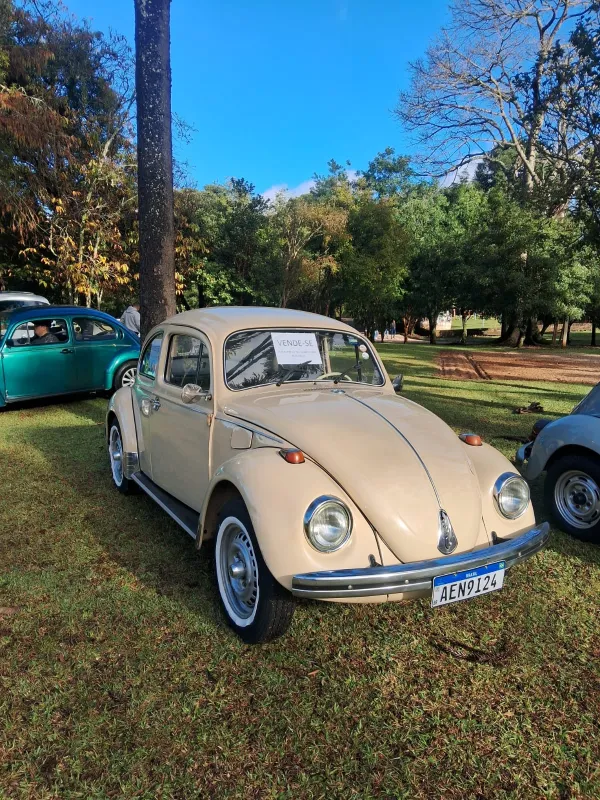 avv-volkswagen-fusca-venda-3115885-imagem-015
