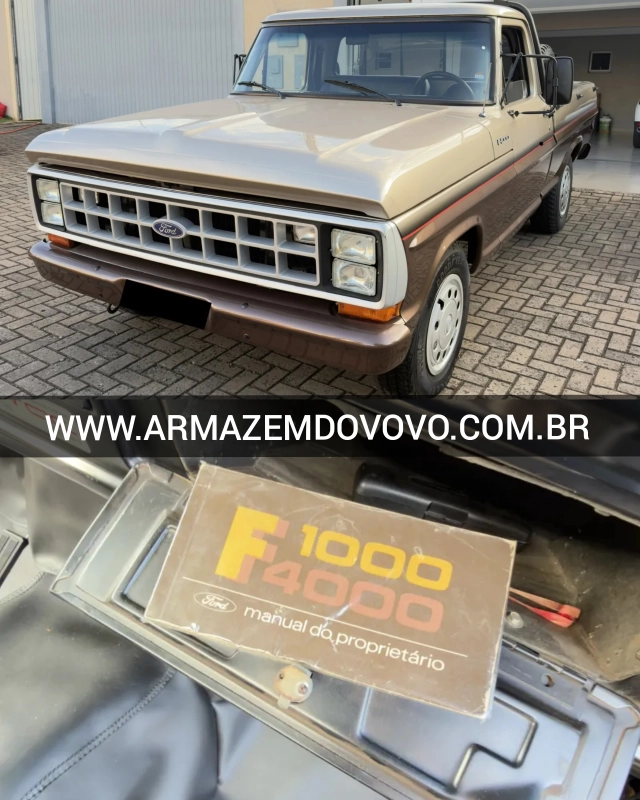 F100 — Ford F100 (1966) — Foto principal do anúncio | Armazém do Vovô